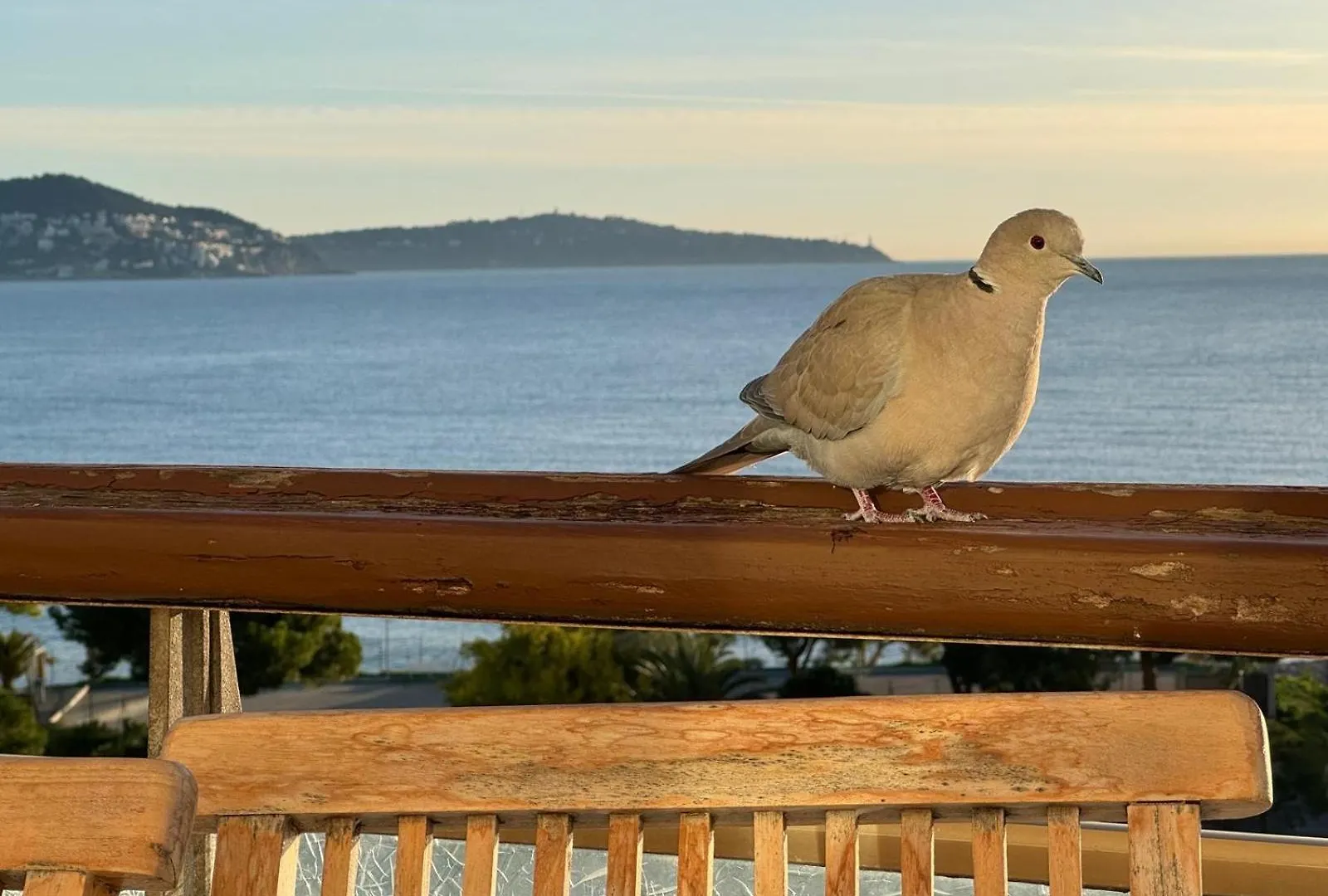 شقة Nice, Exceptional Sea View, Top Floor, Parking
